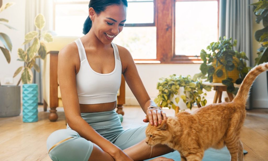 How Do Indoor Cats Get Enough Exercise Naturally?