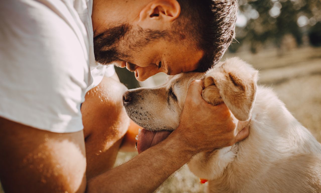 Can Dogs Remember People After Years Apart?