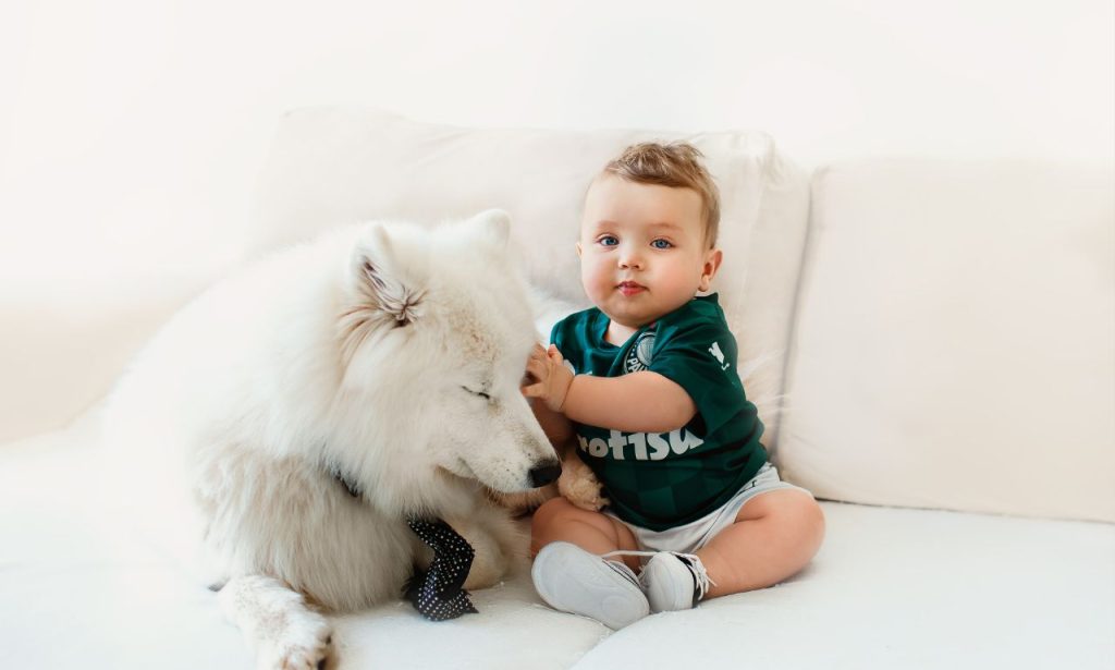 Can Pets Get Jealous of New Babies?