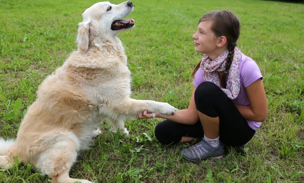How Long Does It Take a Dog to Learn a New Command?