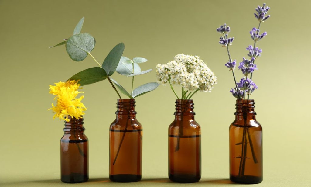 How Can I Make My Home Smell Better with Pets?