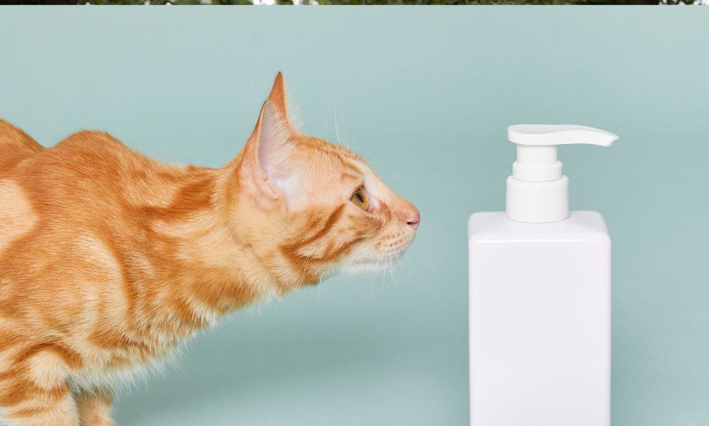 Can Human Shampoo Harm Pets?