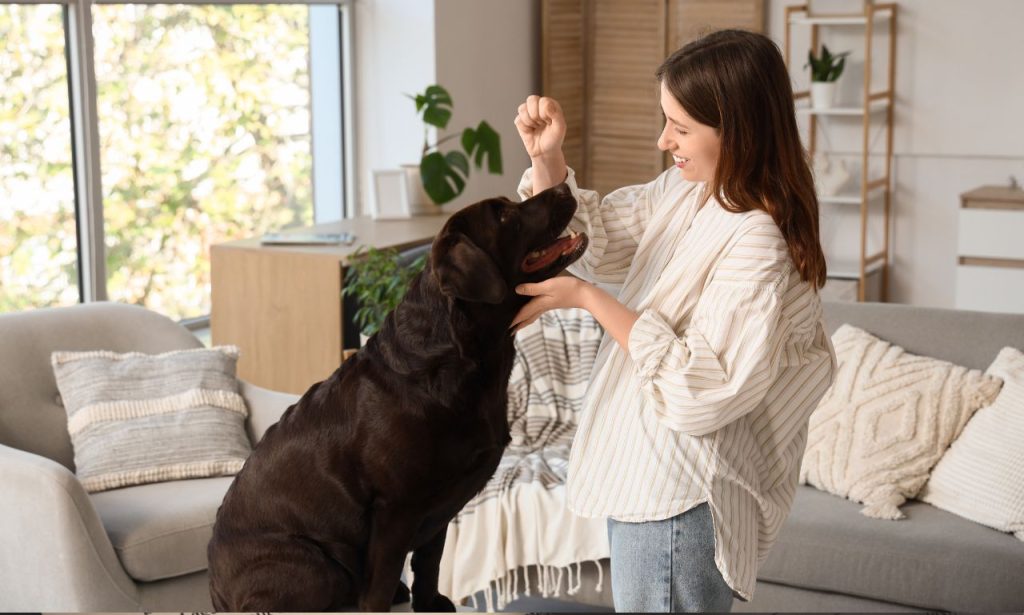 Why Do Dogs Obey Commands at Home but Ignore Them Outside?